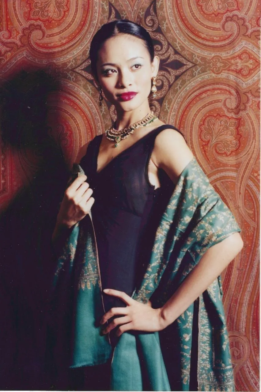 Authentic Kashmiri Pashmina