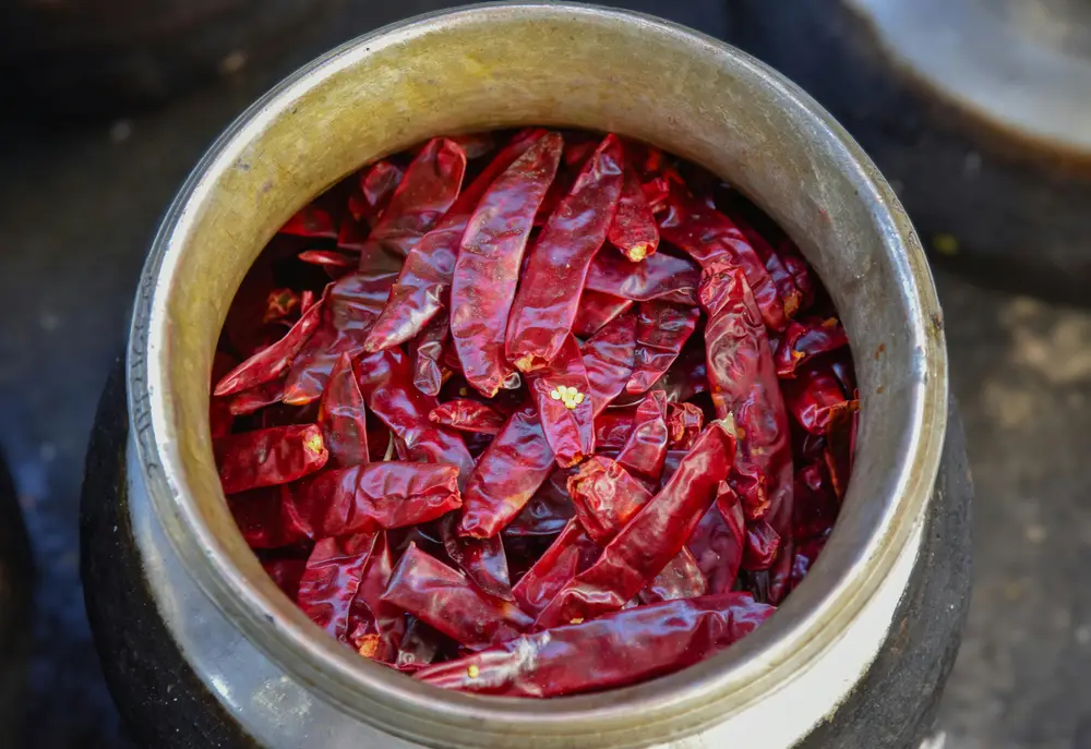 Traditional Kashmiri dish